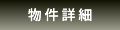詳細情報